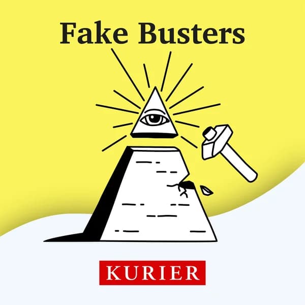 Cover art for Fake Busters
