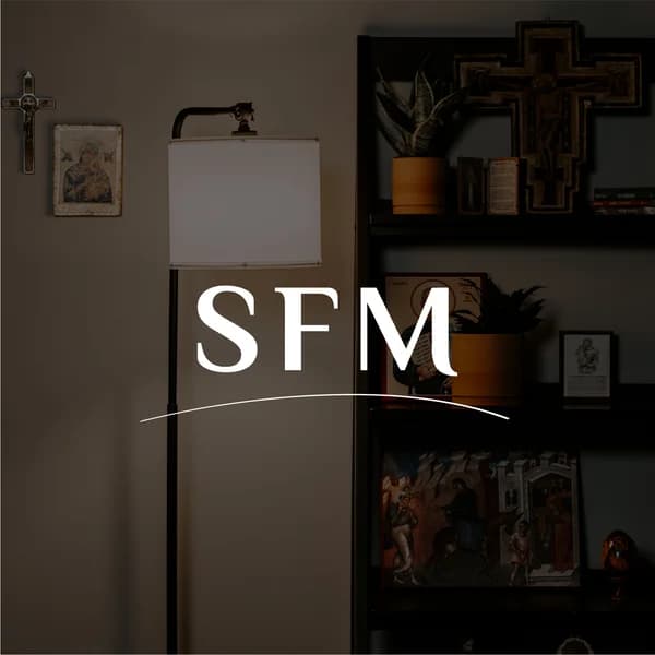 Cover art for Searching for More