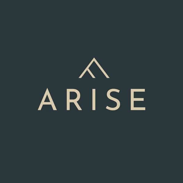 Cover art for Arise - The full power of digital marketing for your business