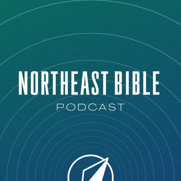 Cover art for Northeast Bible