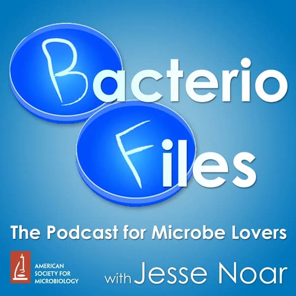 Cover art for BacterioFiles