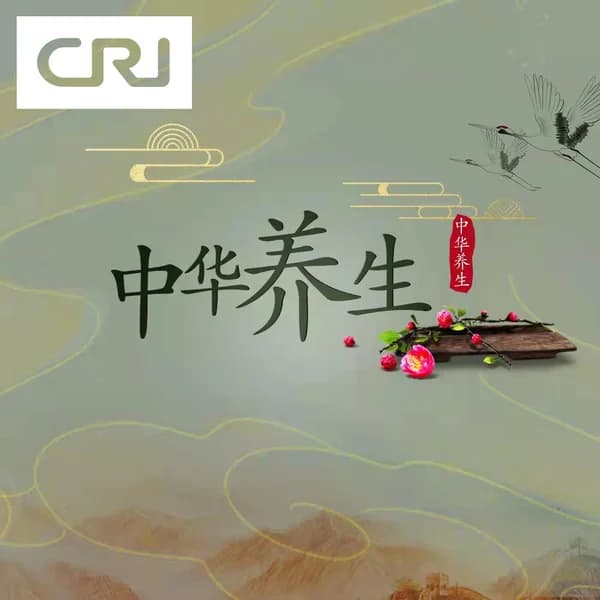 Cover art for 中华养生