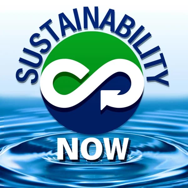 Cover art for Sustainability Now - exploring technologies and paradigms to shape a world that works