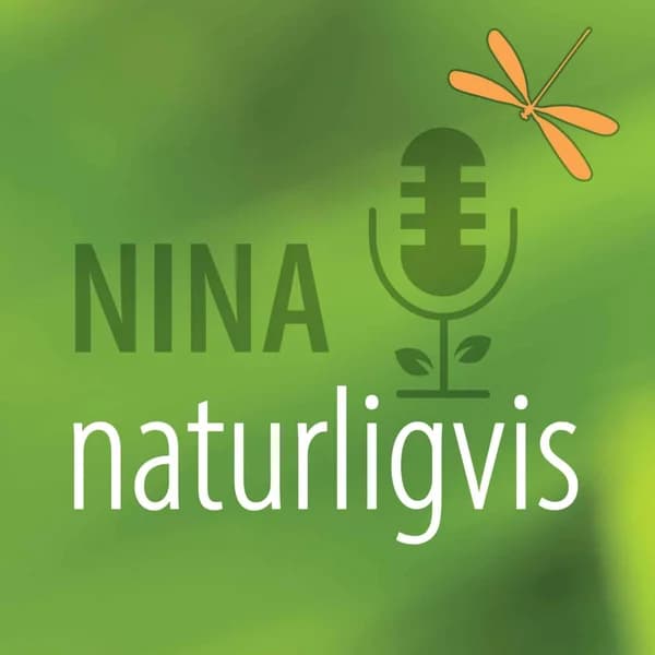 Cover art for Naturligvis