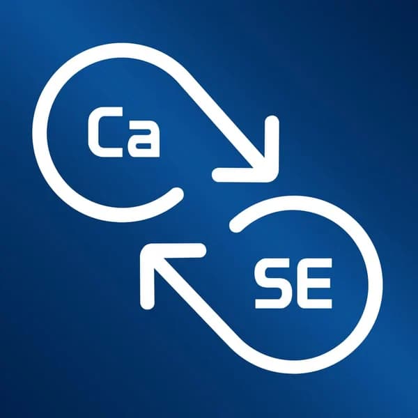 Cover art for CaSE: Conversations about Software Engineering