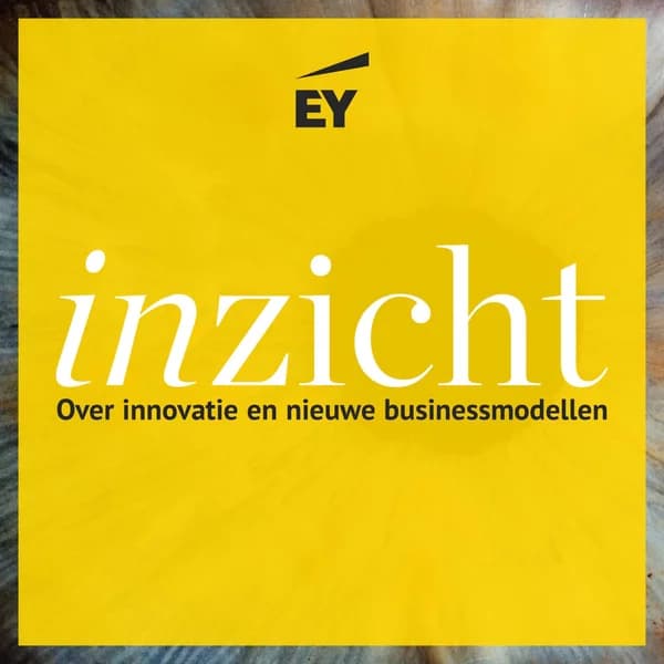 Cover art for Inzicht: over innovatie en nieuwe businessmodellen