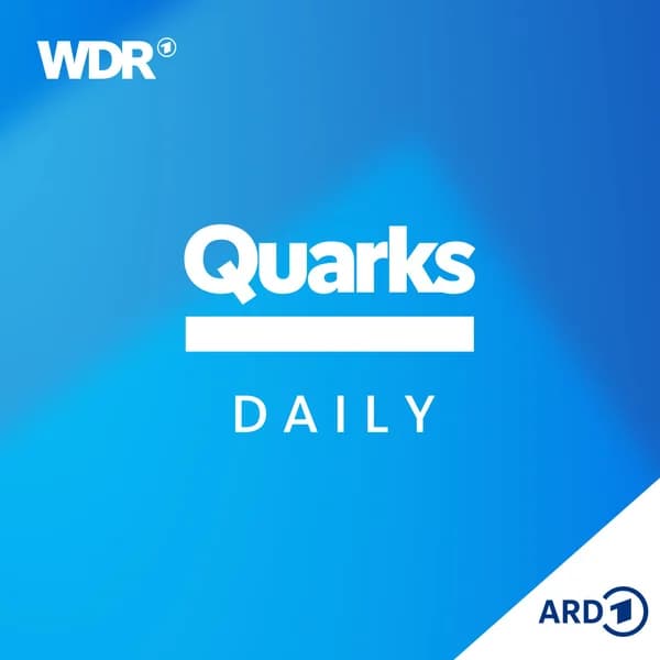 Cover art for Quarks Daily