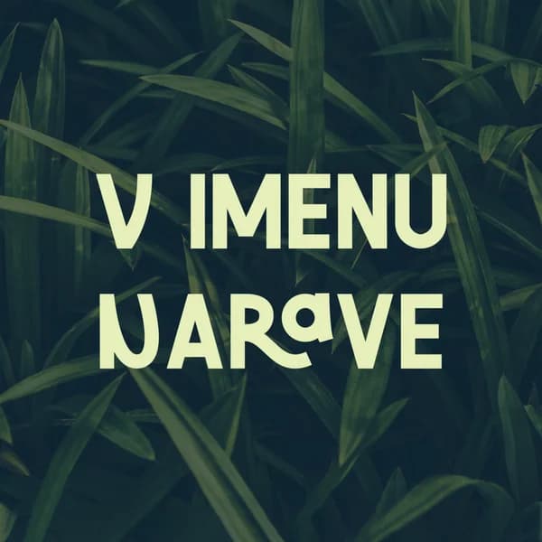 Cover art for V imenu narave