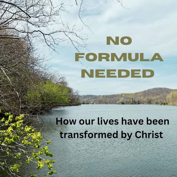 Cover art for No Formula Needed