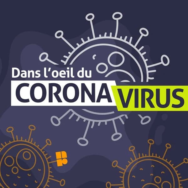 Cover art for Dans l’œil du coronavirus