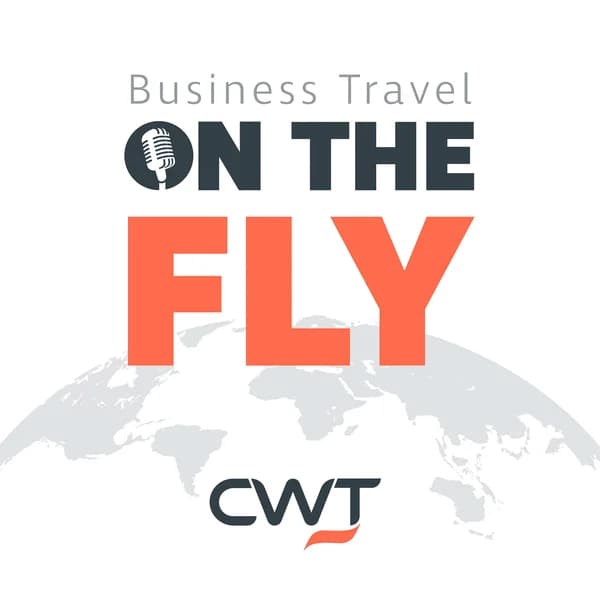 Cover art for Business Travel On The Fly