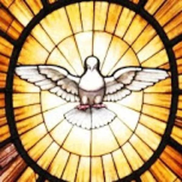 Cover art for Catequesis Confirmación Alegra