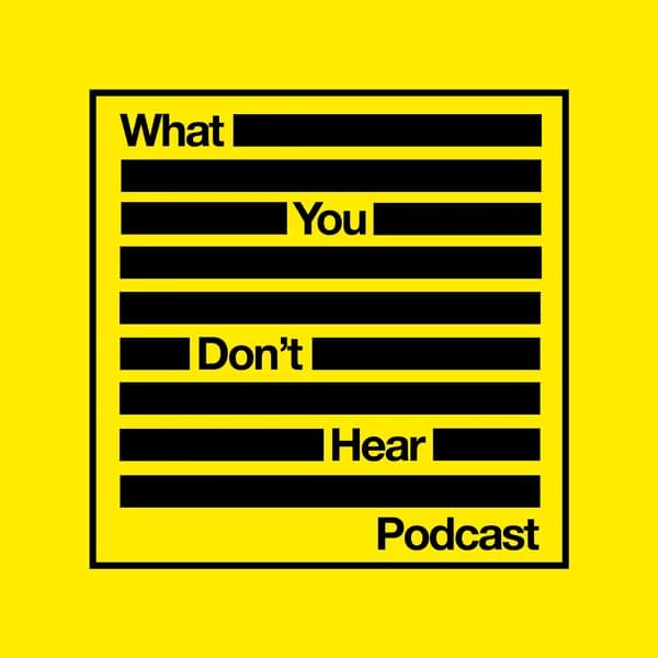 Cover art for What You Don't Hear