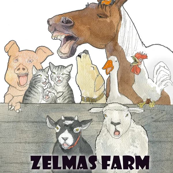 Cover art for Zelmas Farm