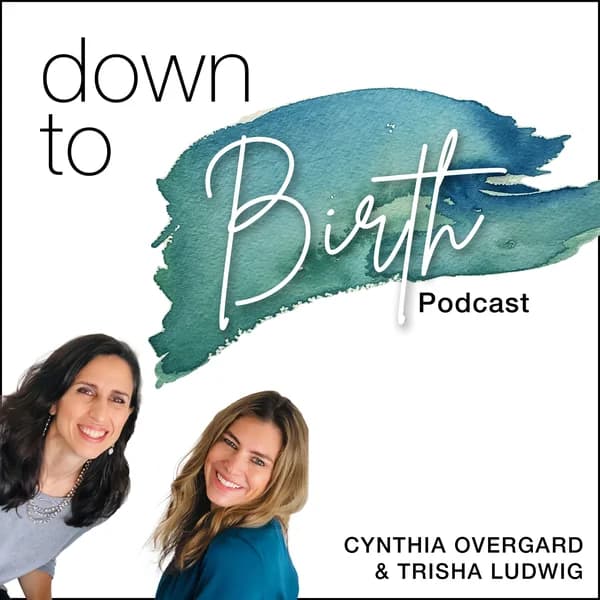 Cover art for Down to Birth