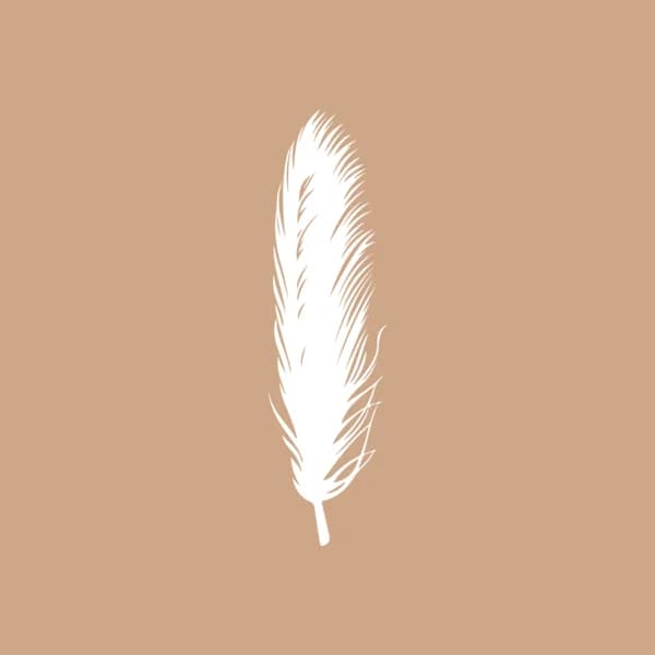 Cover art for Między emocjami