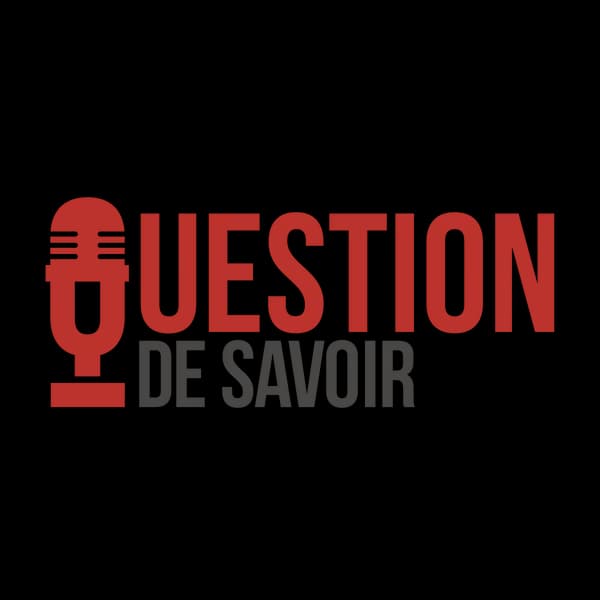 Cover art for Question de Savoir