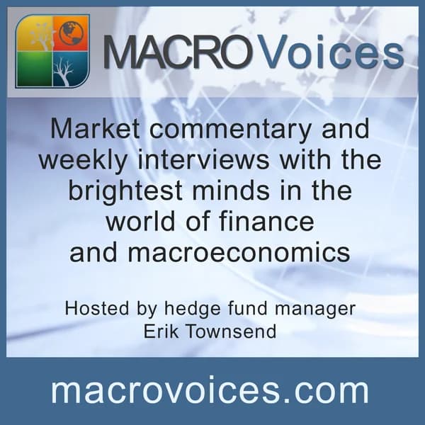 Cover art for Macro Voices