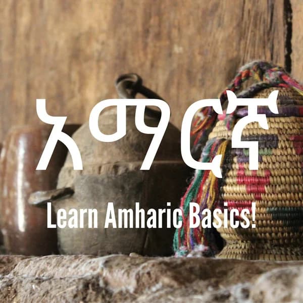 Cover art for Learn Amharic Basics!
