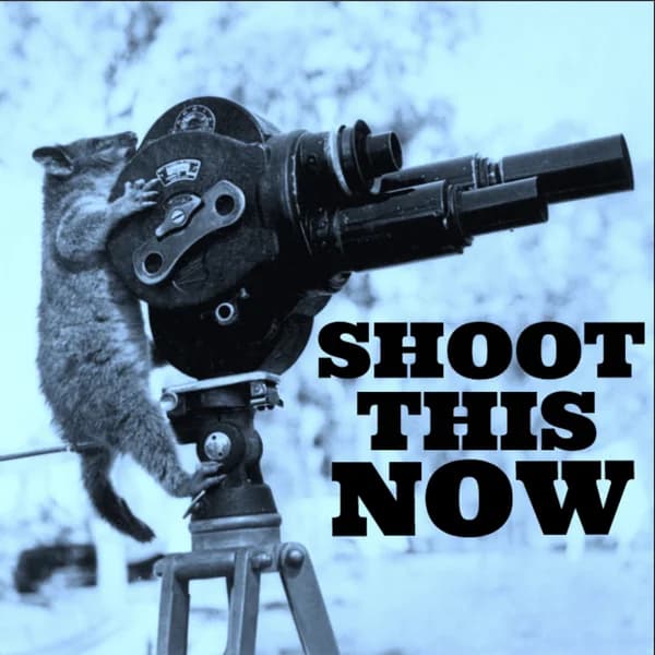Cover art for Shoot This Now