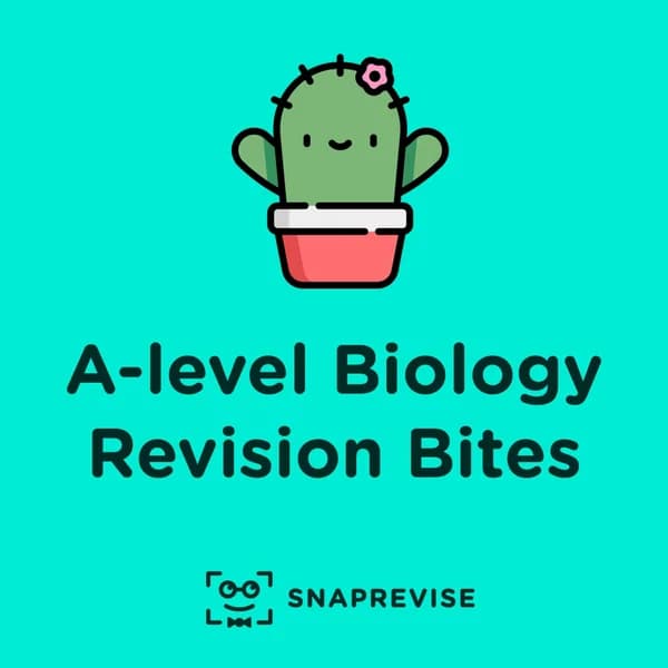 Cover art for A-level Biology Revision Bites