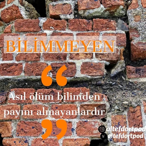 Cover art for Bilimmeyen