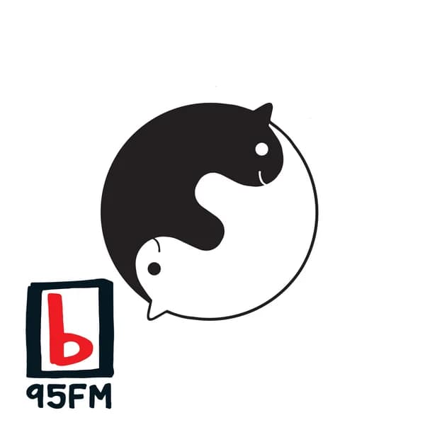 Cover art for 95bFM: Friendly Potential