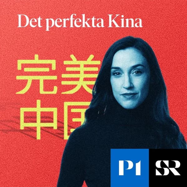 Cover art for Det perfekta Kina