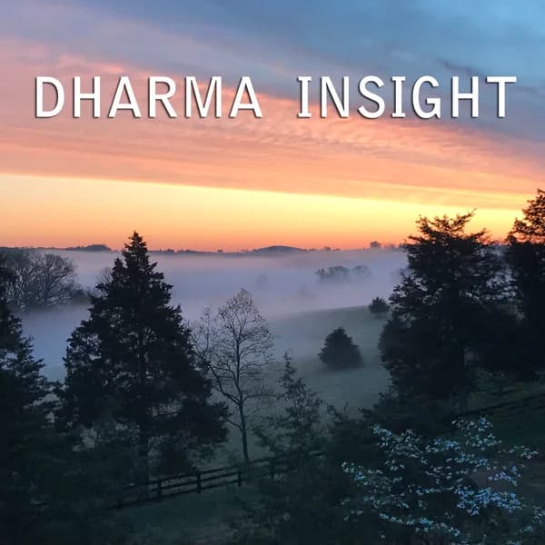 Cover art for Dharma Insight | Insight Meditation Community of Charlottesville