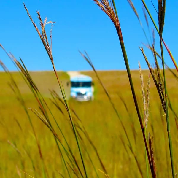 Cover art for Tallgrass Prairie National Preserve Podcast Library