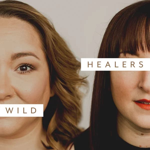 Cover art for Wild Healers