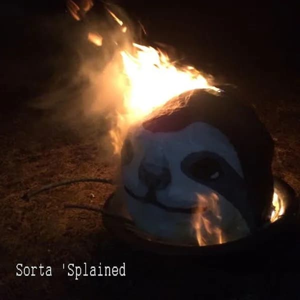 Cover art for Sorta 'Splained