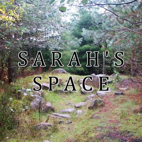Cover art for Sarah's Space
