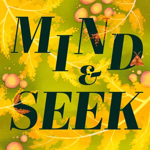 Cover art for Mind and Seek