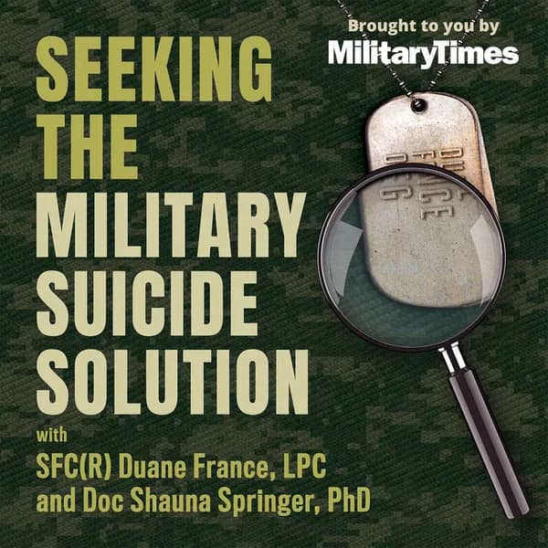 Cover art for Seeking the Military Suicide Solution