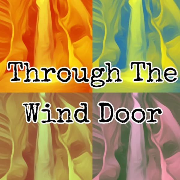 Cover art for Through The Wind Door