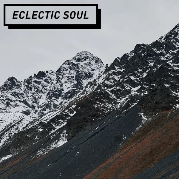 Cover art for Eclectic Soul