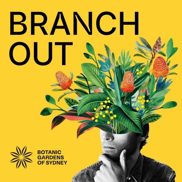 Cover art for Branch Out